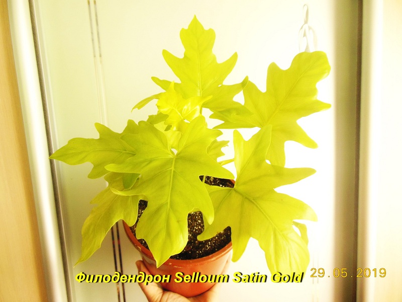 DSCN8284.JPG
