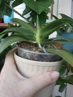 IMG00654.jpg