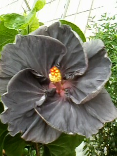 IMG00623.jpg