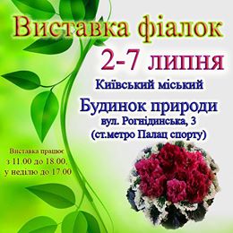 виставка фіалок.jpg