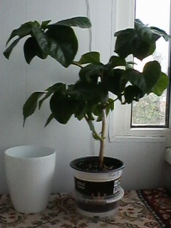 IMG00700.jpg