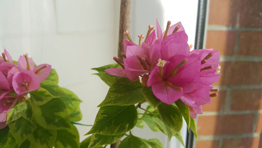 20190802_082424.jpg
