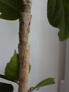 IMG00734.jpg
