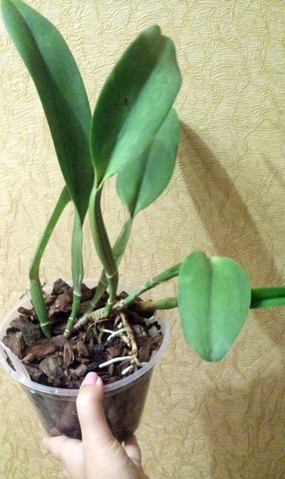 20190829_163018.jpg