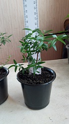 P90830-122334.jpg