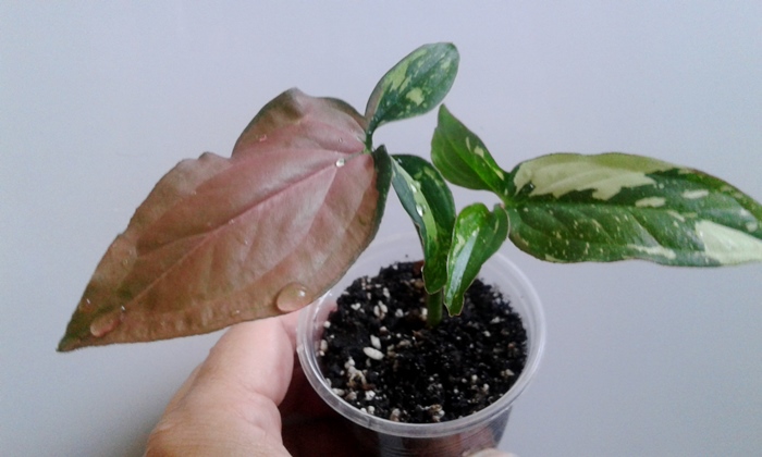 20190908_144518.jpg