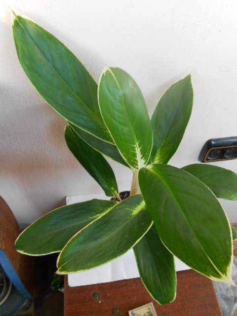DSCN6756.JPG