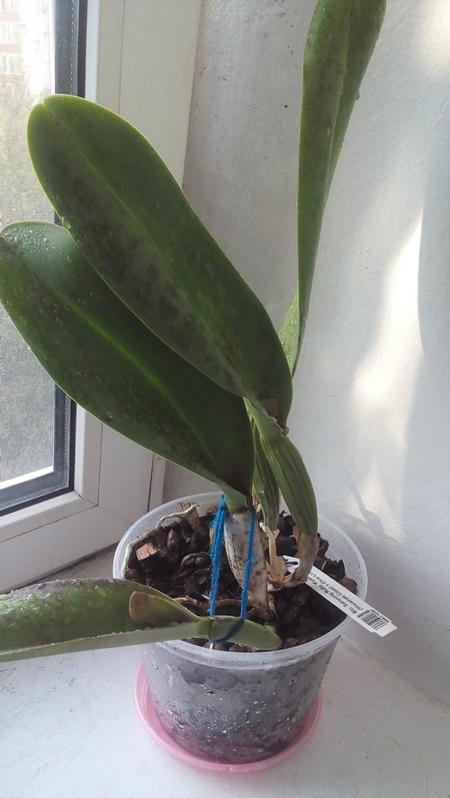 20190922_171657.jpg