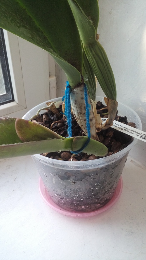 20190922_171614.jpg
