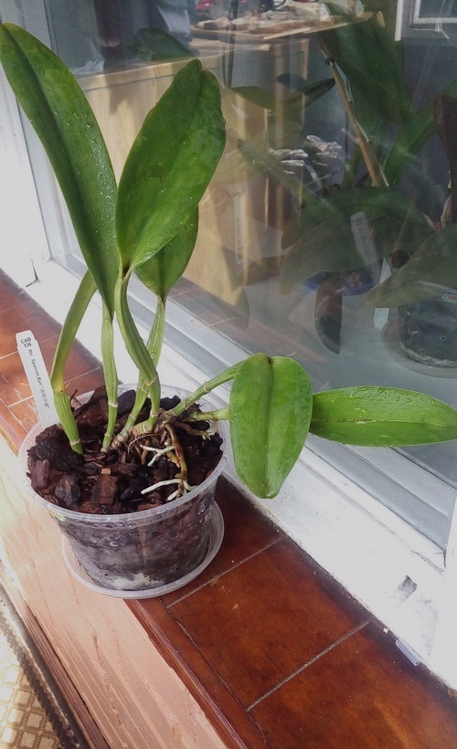 20190925_144228.jpg