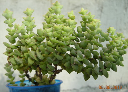 DSCN8899.JPG