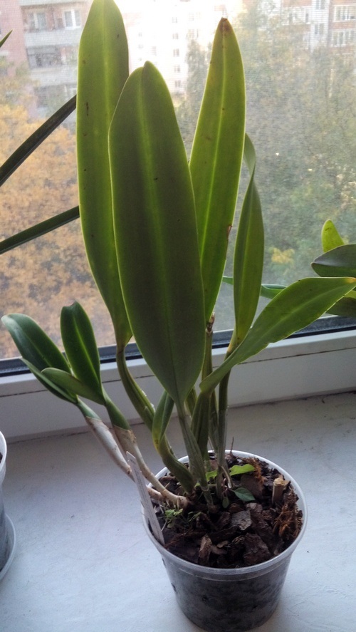 20191001_180759.jpg