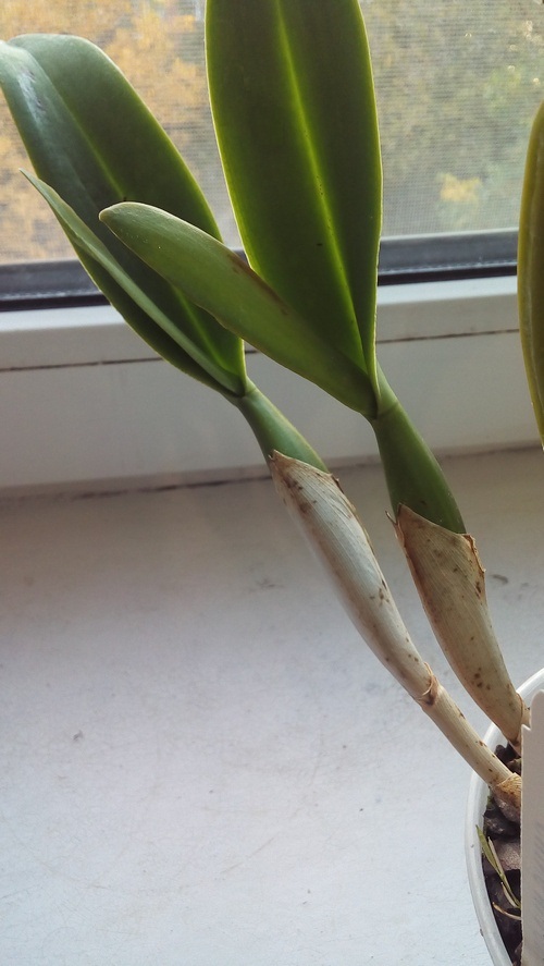 20191001_180747.jpg
