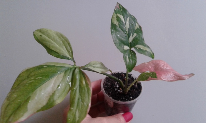 20190928_162741.jpg