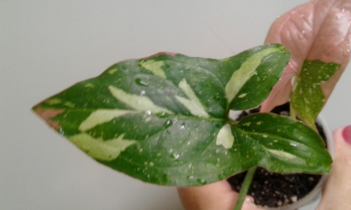 20190928_162730.jpg