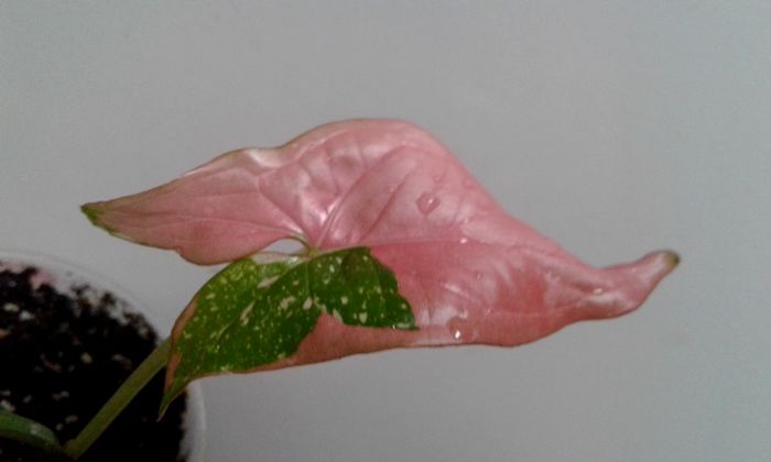 20190928_163112.jpg