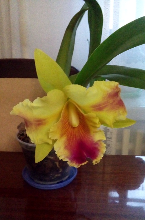 20190930_181849.jpg