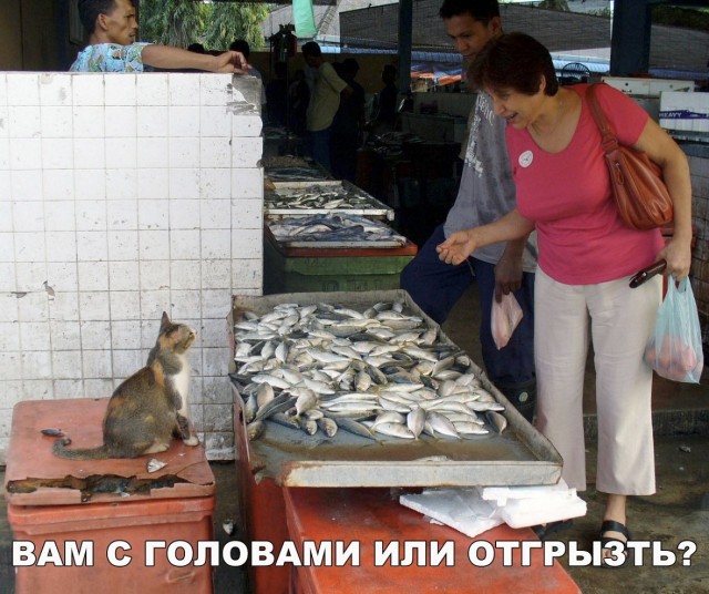 рыбка.jpg