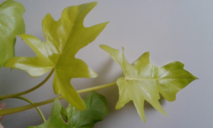20191022_092749.jpg