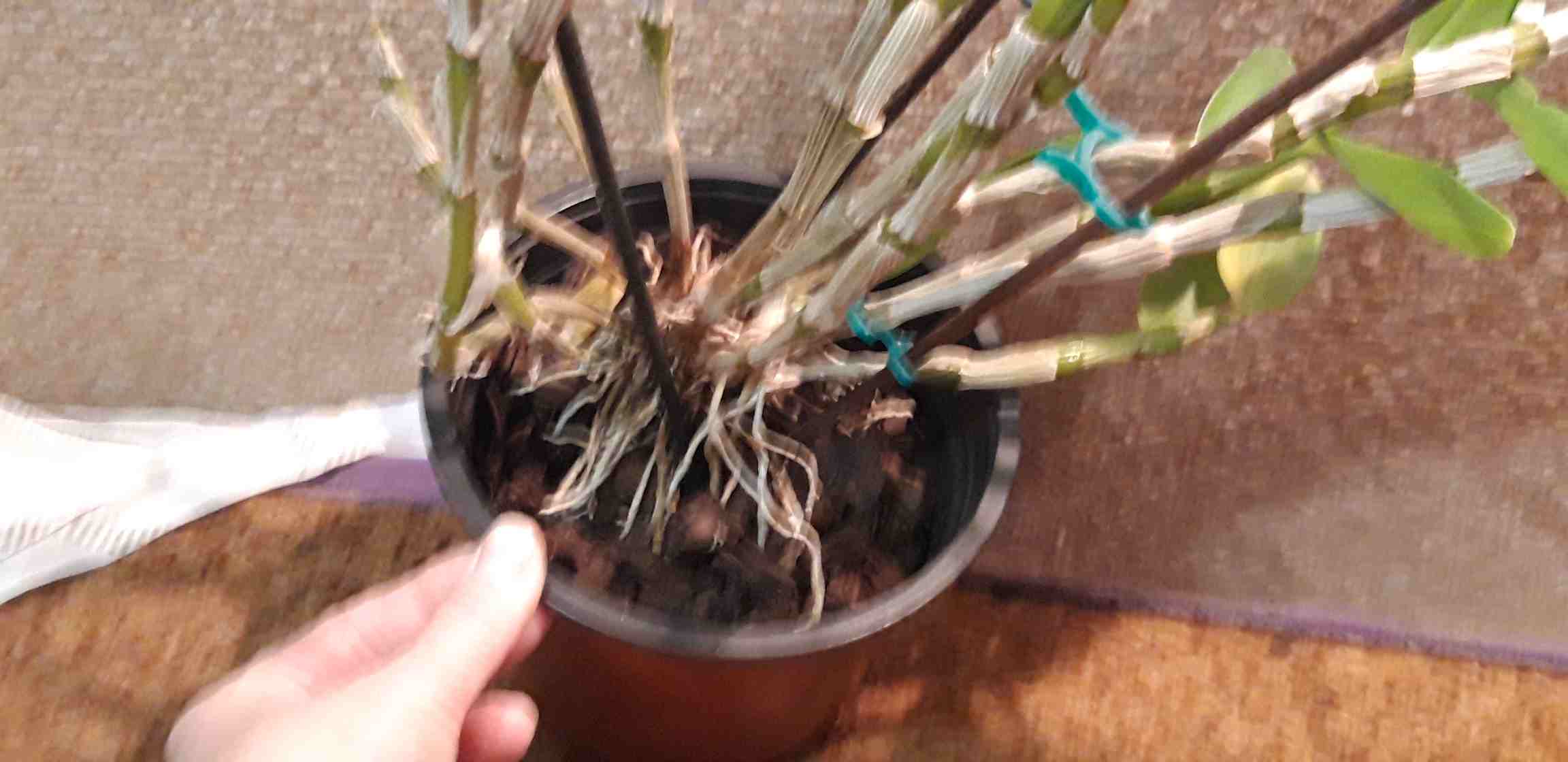 20191027_182415_compress19.jpg