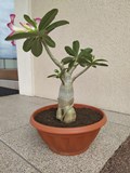 IMG_20191104_105842.jpg