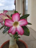 IMG_20191104_105916.jpg