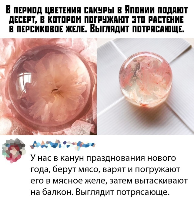 сакура.jpg