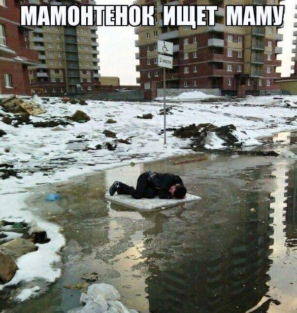 ищет маму.jpg