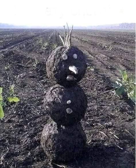 зима 2020 год.jpg