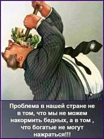 накормить.jpg
