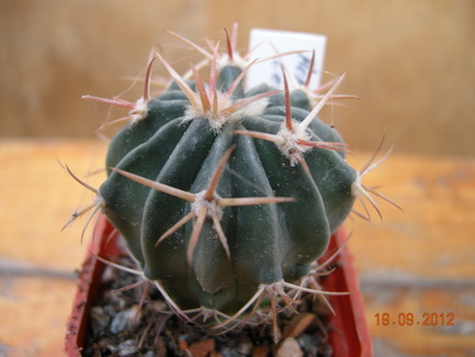 DSCN0576.JPG