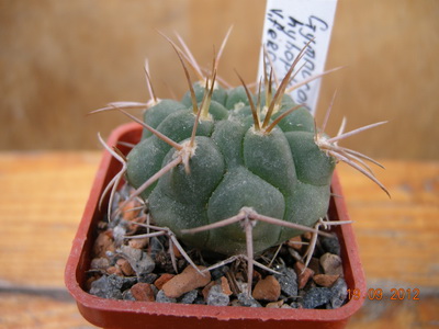 DSCN0579.JPG