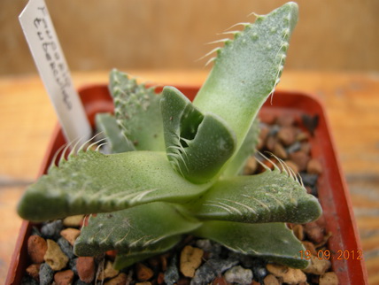 DSCN0577.JPG