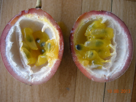 DSCN2343.JPG