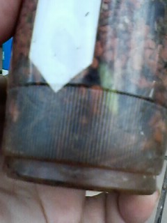 IMG01351.jpg