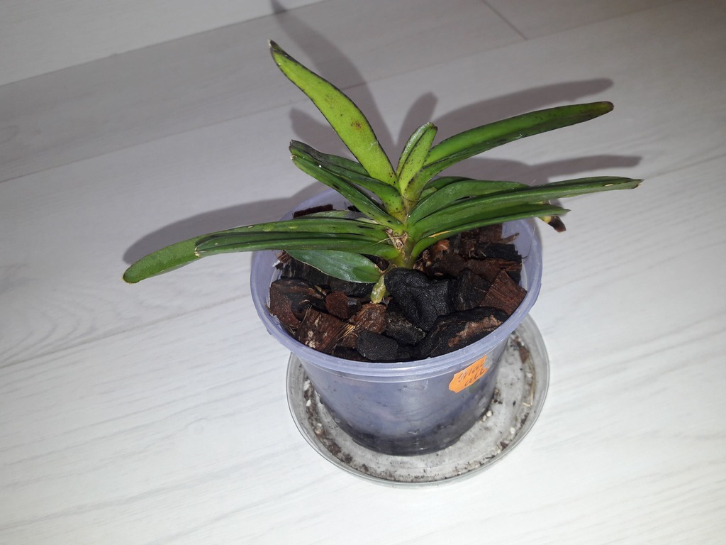 imgonline-com-ua-Resize-3K8XW0cCqSb7Kcl.jpg