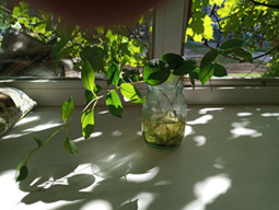 20200825_103706.jpg