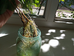 20200825_103826.jpg