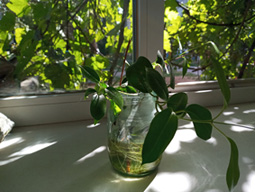 20200825_103745.jpg