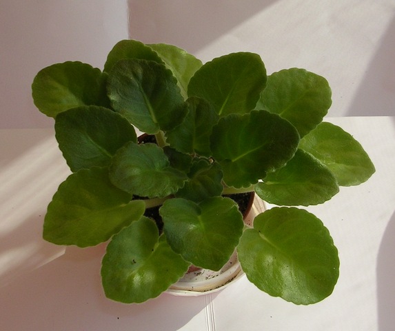 DSCN8249.JPG