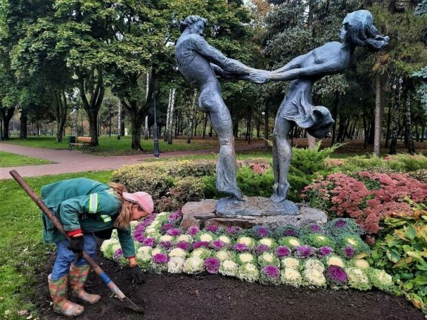 Капуста на клумбе.jpg