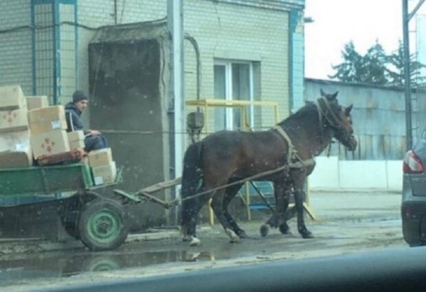 нова пошта.jpeg