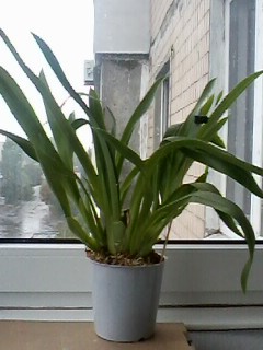 IMG01741.jpg