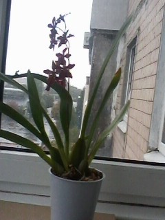 IMG01742.jpg