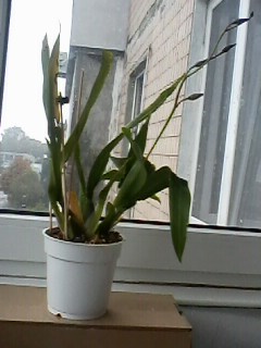 IMG01747.jpg
