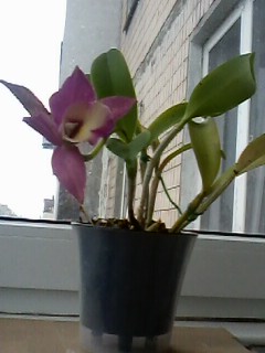 IMG01746.jpg