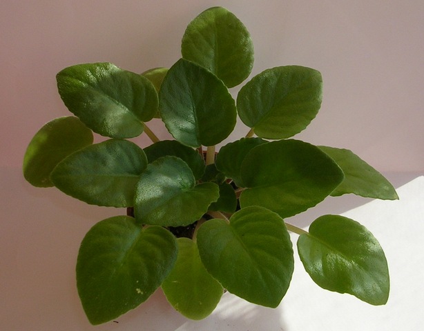 DSCN8267.JPG