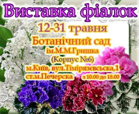 виставка фіалок.jpg