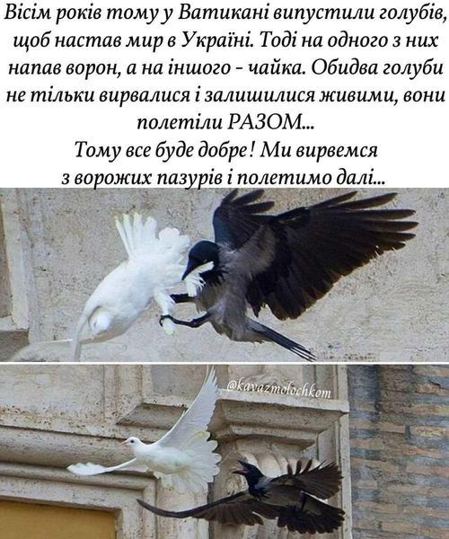 у ватикані випустили голубів.jpg