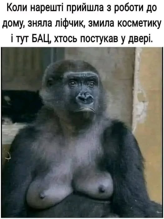 прийшла додому.jpg